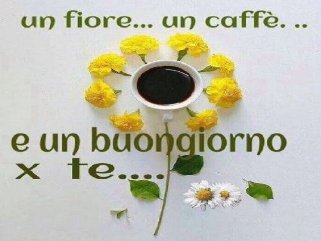 Un fiore...un caffé e un buongiorno per te...