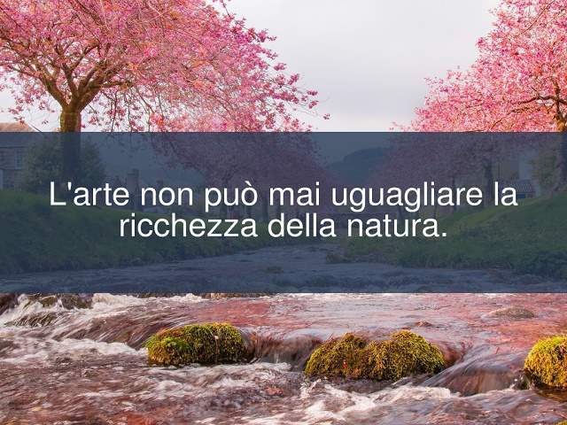 L'arte non può mai uguagliare la ricchezza della natura.