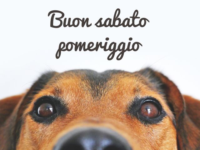 buon sabato pomeriggio