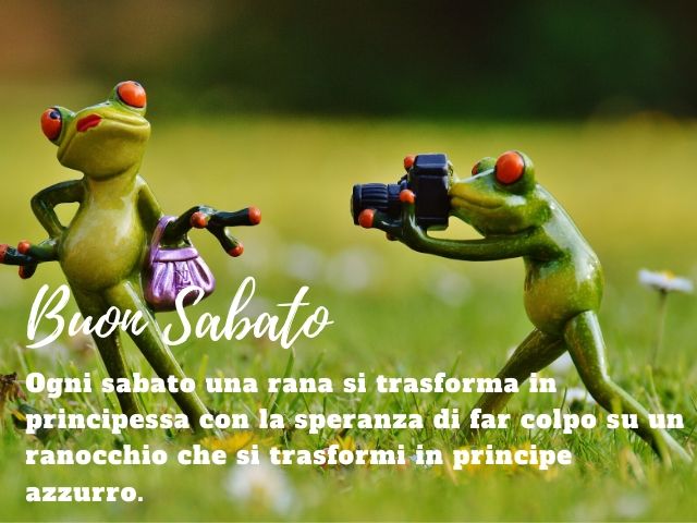 Buon sabato. Ogni sabato una rana si trasforma in principessa con la speranza di far colpo su un ranocchio che si trasformi in principe azzurro.