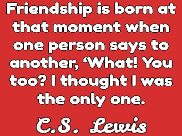 Friendship is born at that moment when one person says to another, "What! You too? I thought I was the only one". (L'amicizia nasce nel momento in cui una persona dice all'altra "Cosa! Anche tu? Pensavo di essere l'unica".)(C.S. Lewis)