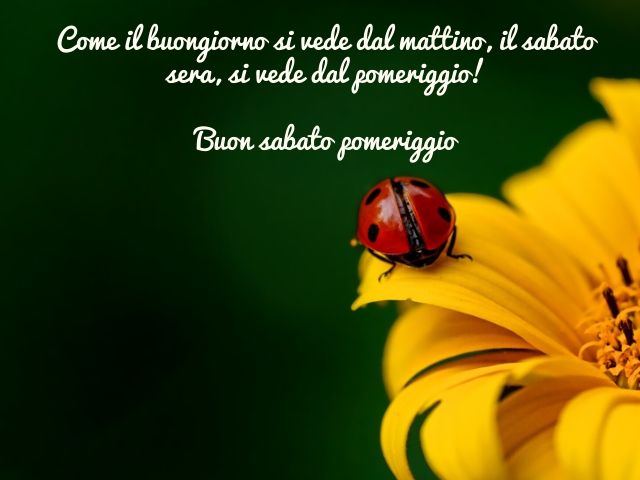 Come il buongiorno si vede dal mattino, il sabato sera, si vede dal pomeriggio! Buon sabato pomeriggio
