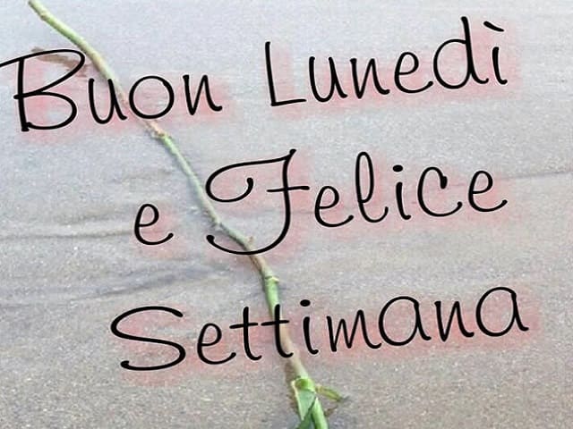 Buon lunedì e felice settimana.