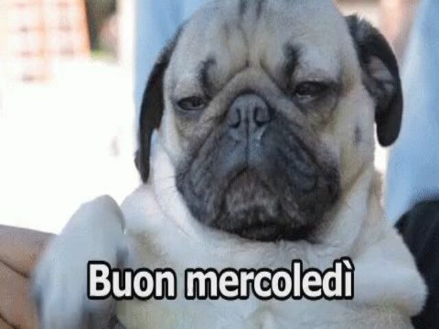 Buon mercoledì