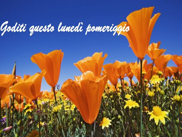 Goditi questo pomeriggio.