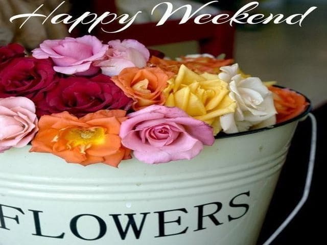Happy Weekend (Felice Fine settimana)
