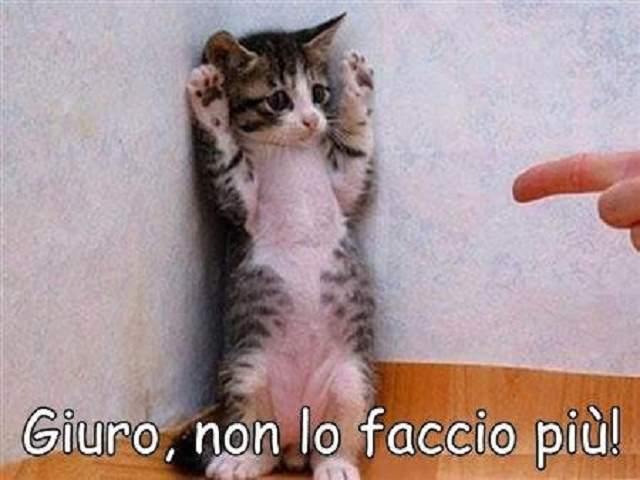 Giuro, non lo faccio più!