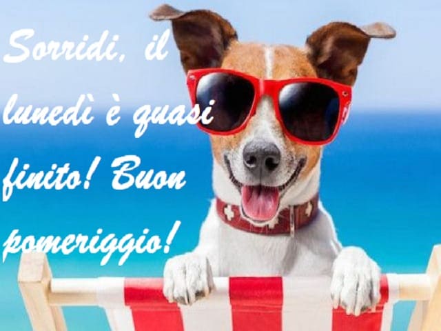 Sorridi, il lunedì è quasi finito! Buon pomeriggio!