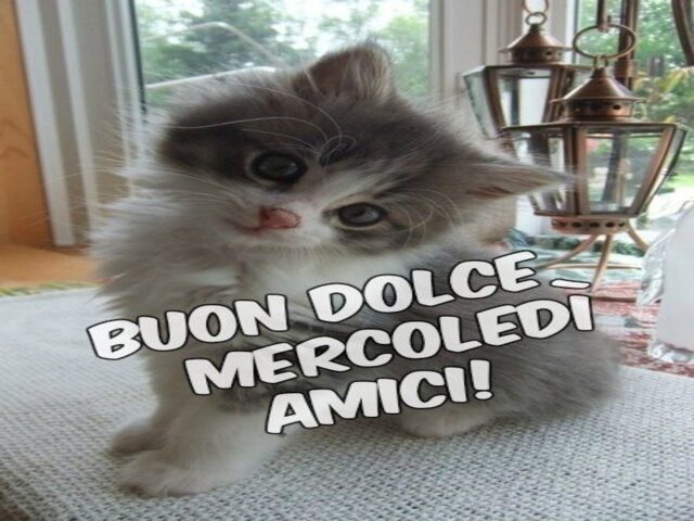 Buon dolce mercoledì amici!