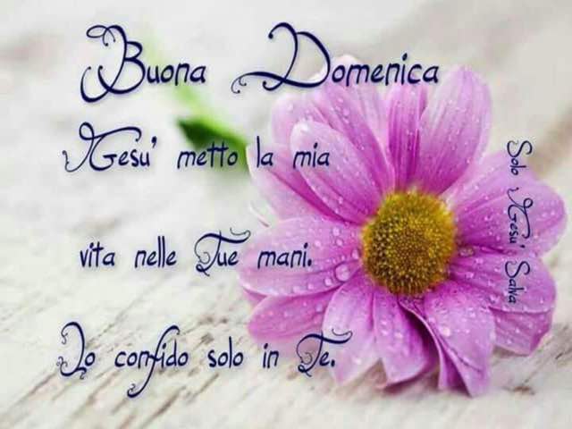 Buona domenica. Gesù ti metto la mia vita nelle tue mani, io confido solo in Te.
