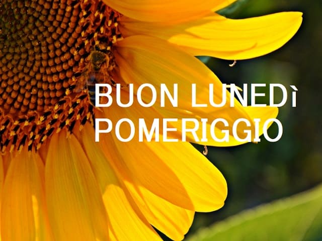 Buon lunedì pomeriggio.