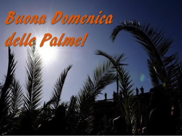 Buona domenica delle Palme!