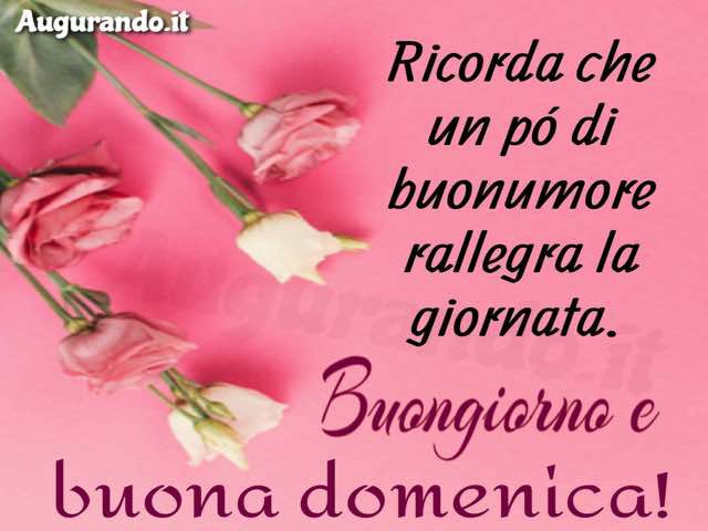Ricorda che un po' di buonumore rallegra la giornata. Buongiorno e buona domenica!
