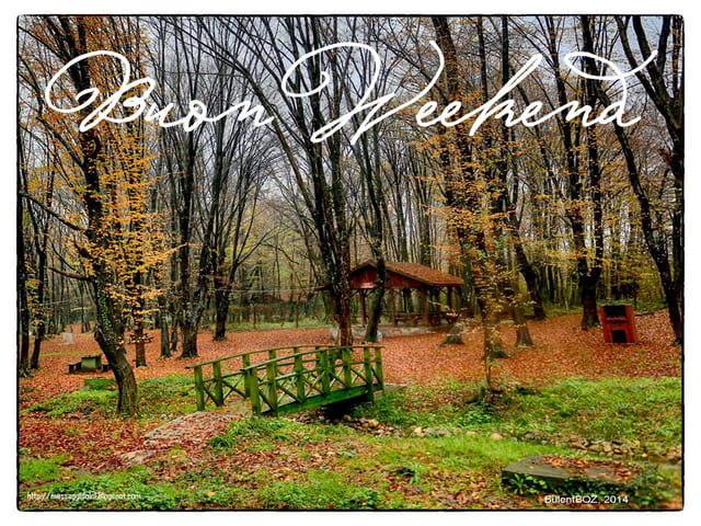 Buon weekend