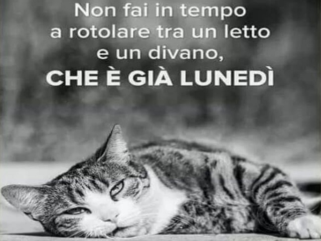 Non fai in tempo a rotolare tra letto e un divano, che è già lunedì.