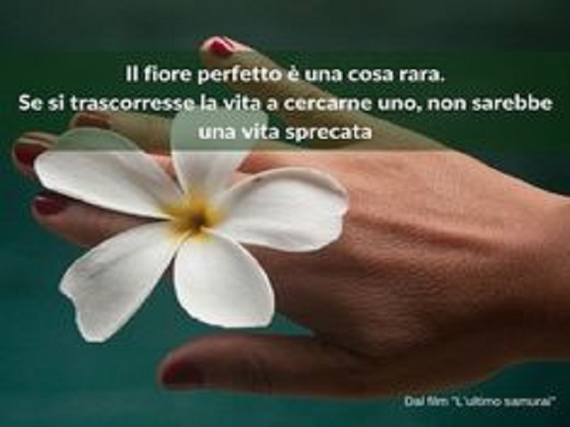 Il fiore perfetto è una cosa rara. Se si trascorresse la vita a cercarne uno, non sarebbe una vita sprecata.
