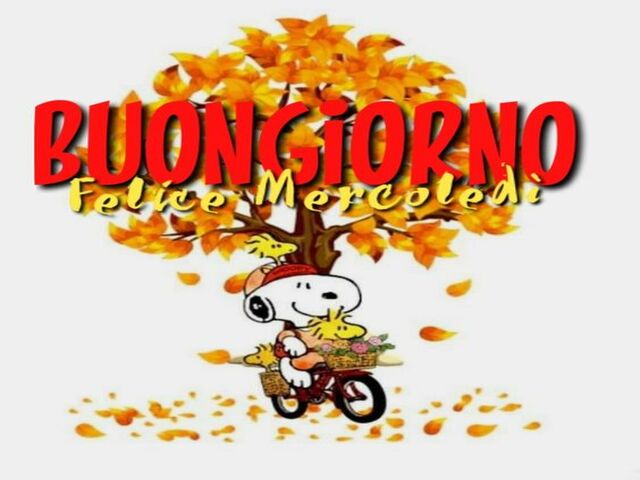 Buongiorno felice mercoledì...