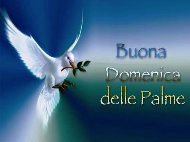 Buona domenica delle Palme