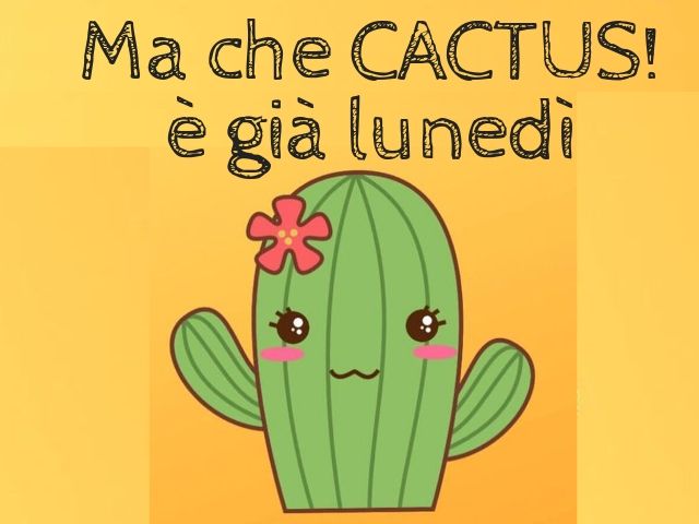 Ma che cactus! È già lunedì.