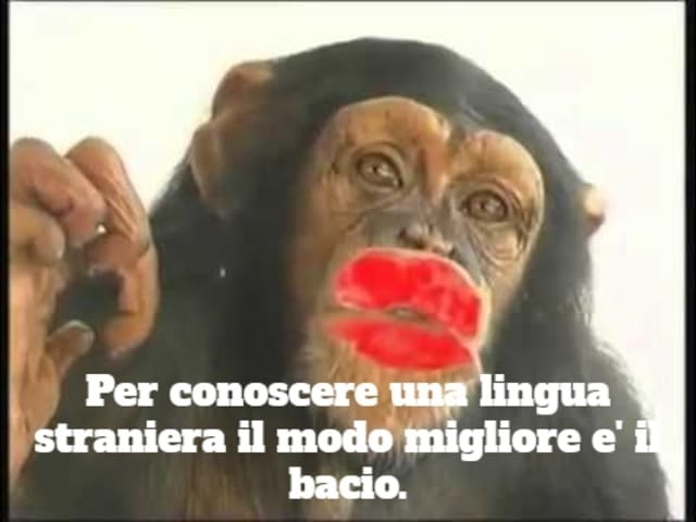 Per conoscere una lingua straniera il modo migliore e' il bacio.