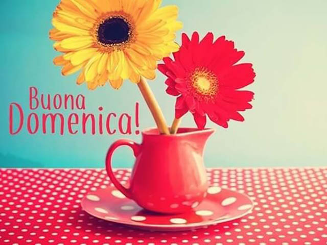 Buona domenica!