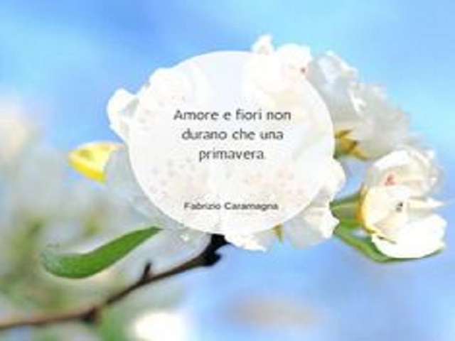 Amore e fiori non durano che una primavera.(Fabrizio Caramagna)