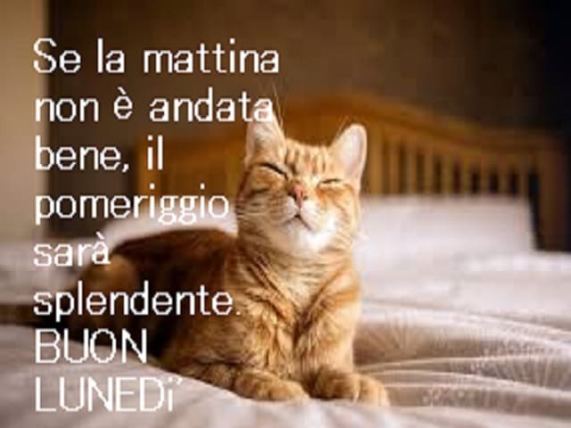 Se la mattina non è andata bene, il pomeriggio sarà splendente. Buon lunedì.
