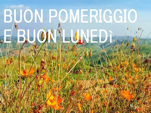 Buon pomeriggio e buon lunedì.