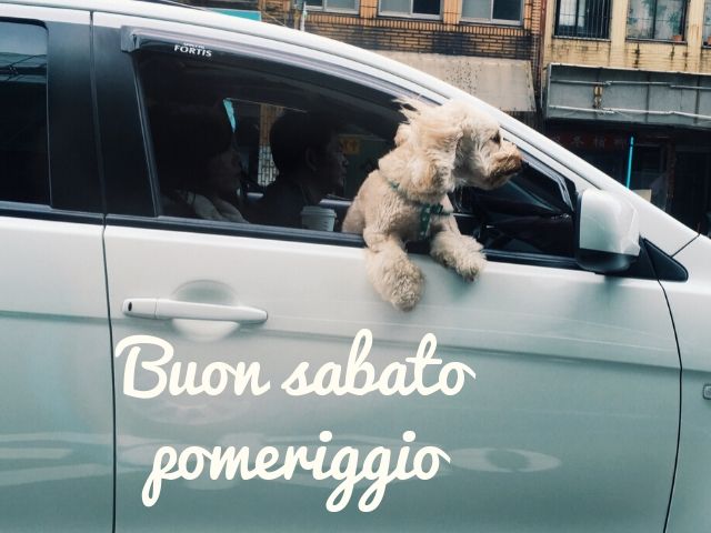 buon sabato pomeriggio