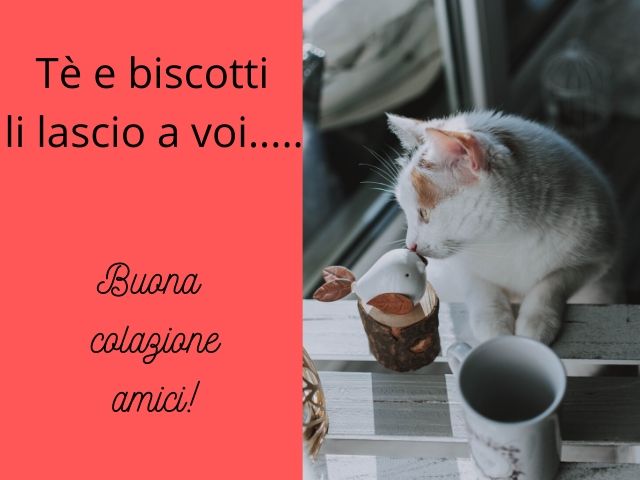 Tè e biscotti li lascio a voi... Buona colazione amici!