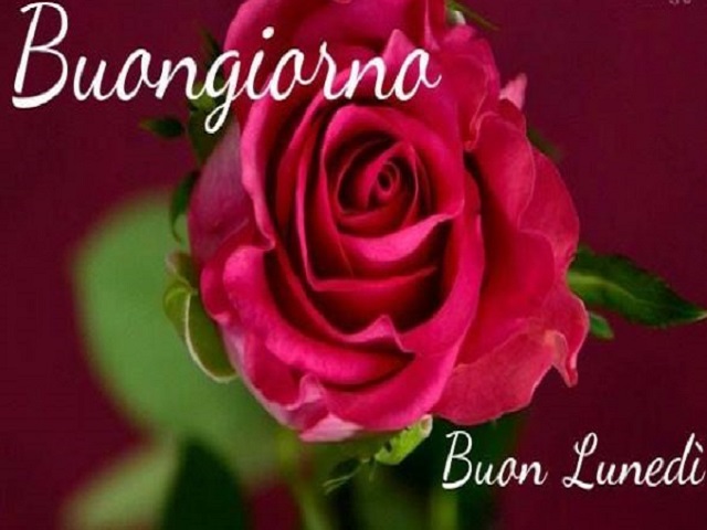Buongiorno Buon lunedì.