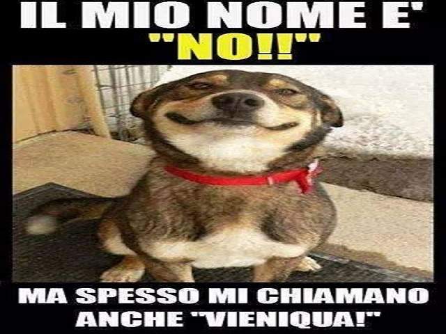 Il mio nome è "no!!", ma spesso mi chiama anche "vieni qua!"