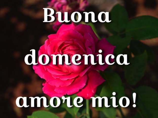 Buona domenica amore mio!