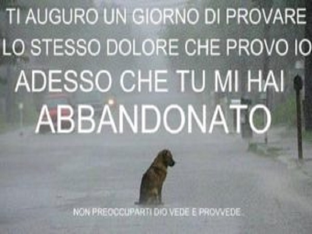 Ti auguro un giorno di provare lo stesso dolore che provo io adesso che tu mi hai abbandonato. Non preoccuparti, Dio vede e provvede.