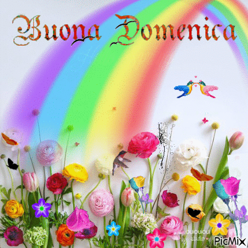 Buona domenica