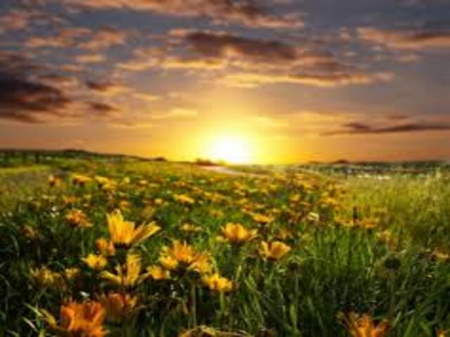 frasi sul sorgere del sole