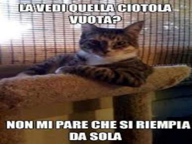 La vedi quella ciotola vuota?Non mi pare che si riempia da sola.