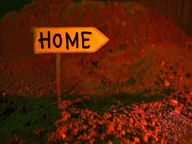 Home