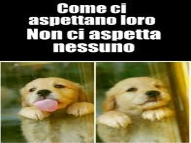 Come ci aspettano loro, non ci aspetta nessuno!