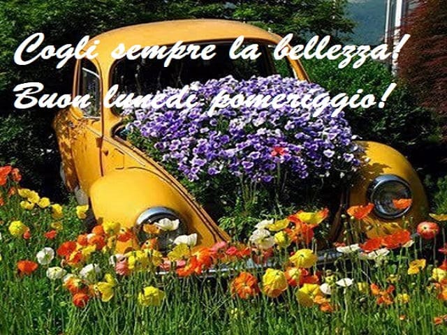 Cogli sempre la bellezza! Buon lunedì pomeriggio!