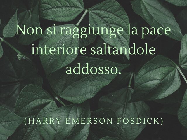 Non si raggiunge la pace interiore saltandole addosso.(Harry Emerson Fosdick)