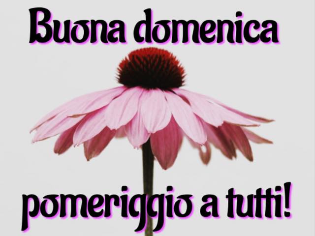 Buona domenica pomeriggio!