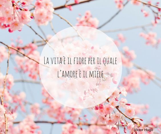 La vita è il fiore per il quale l'amore è il miele.(Victor Hugo)