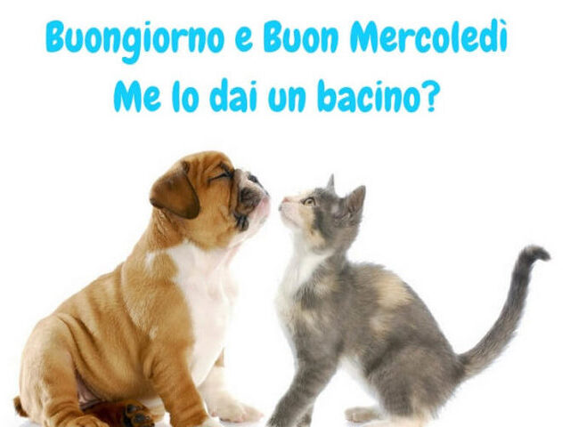 Buongiorno e buon mercoledì...me lo dai un bacino?