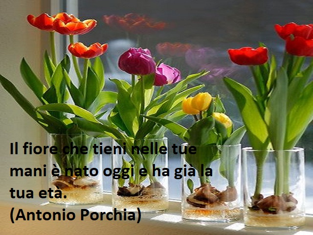 Il fiore che tieni nelle tue mani è nato oggi e ha già la tua età. (Antonio Porchia)