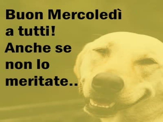 Buon mercoledì a tutti! Anche se non lo meritate...