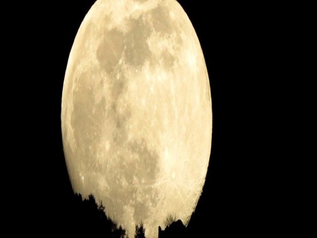 aforismi luna