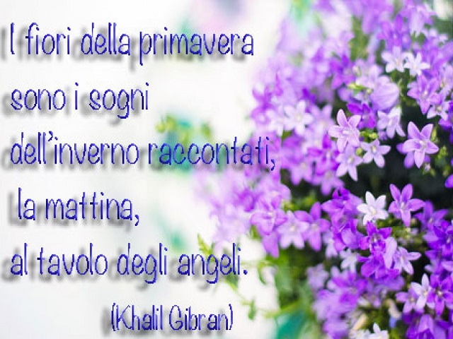 I fiori della primavera sono i sogni dell'inverno raccontati , la mattina, al tavolo degli angeli. (Khalil Gibran)