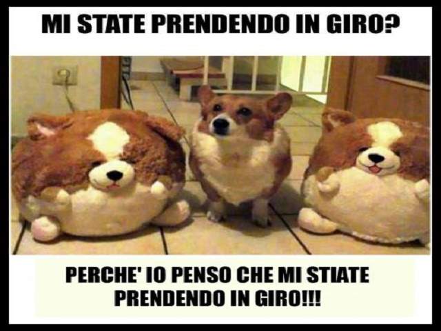Mi state prendendo in giro? Perché io penso che mi state prendendo in giro!!!