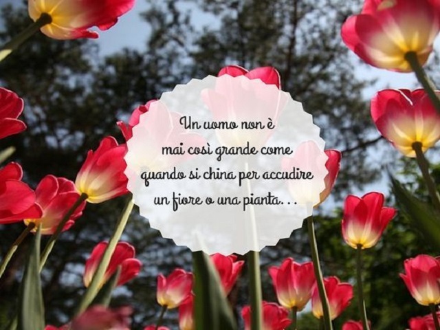 Un uomo non è mai cosi grande come quando si china per accudire un fiore o una pianta...